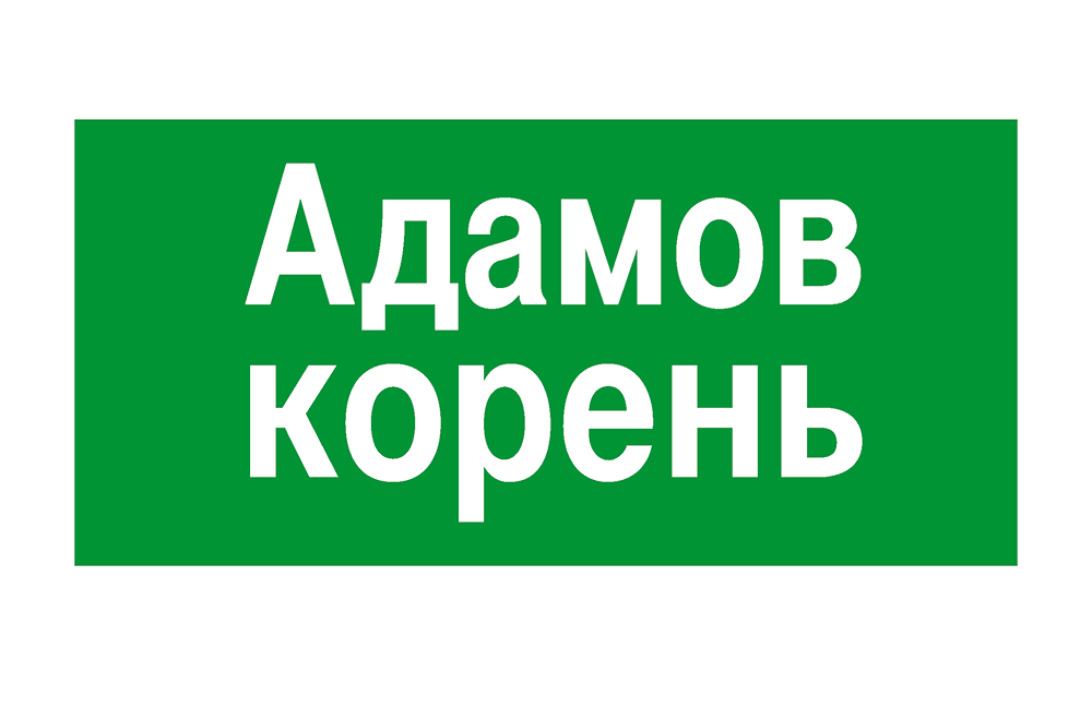 Адамов корень
